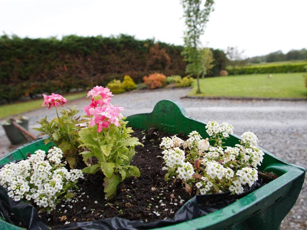 Dun Cromain B&B Banagher Luaran gambar